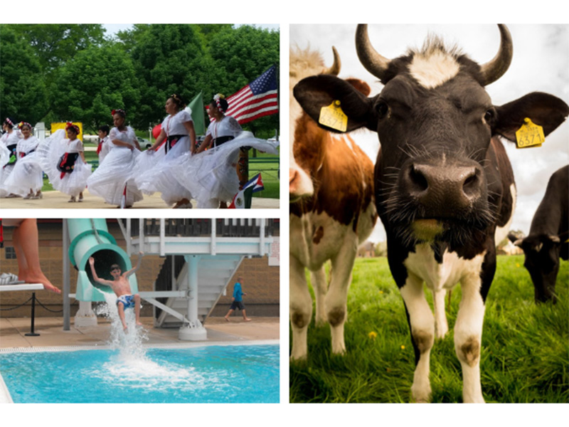 Family Friendly Activities