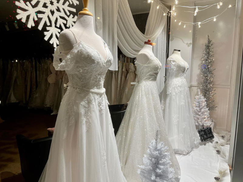 Untitled design (3) Sandra D's Bridal Boutique Gowns in Watertown WI