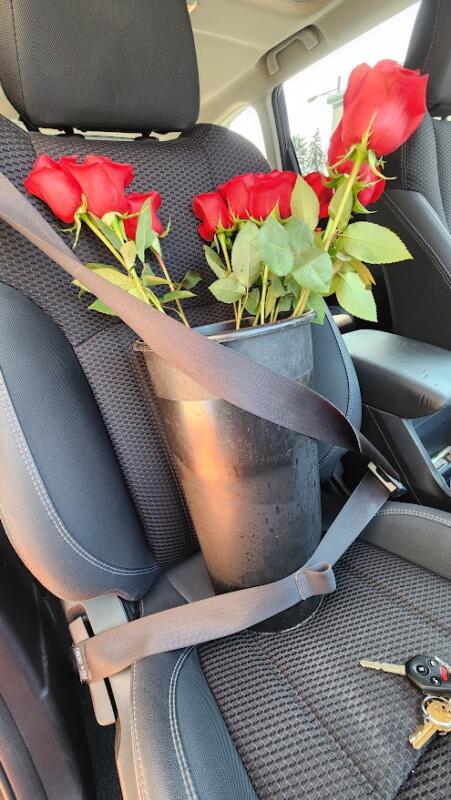 Roses in a bucket of water, seatbelted into a car.