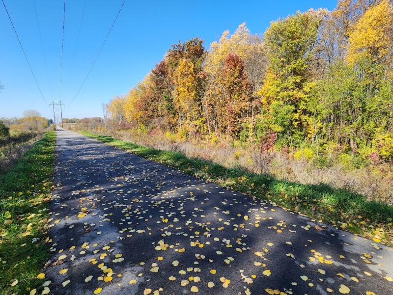 Colorful trees and fallen leaves on the interurban Trail in Watertown Wi
