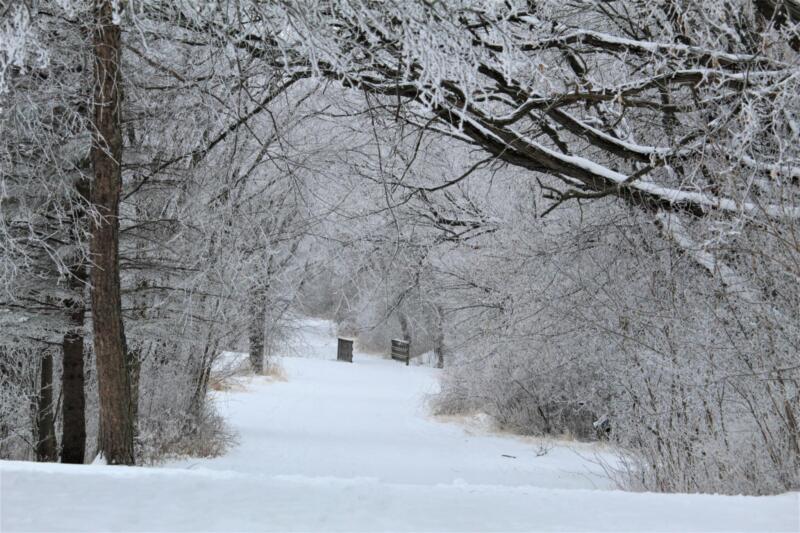 Snowy path at Brandt-quirk park in Watertown wi