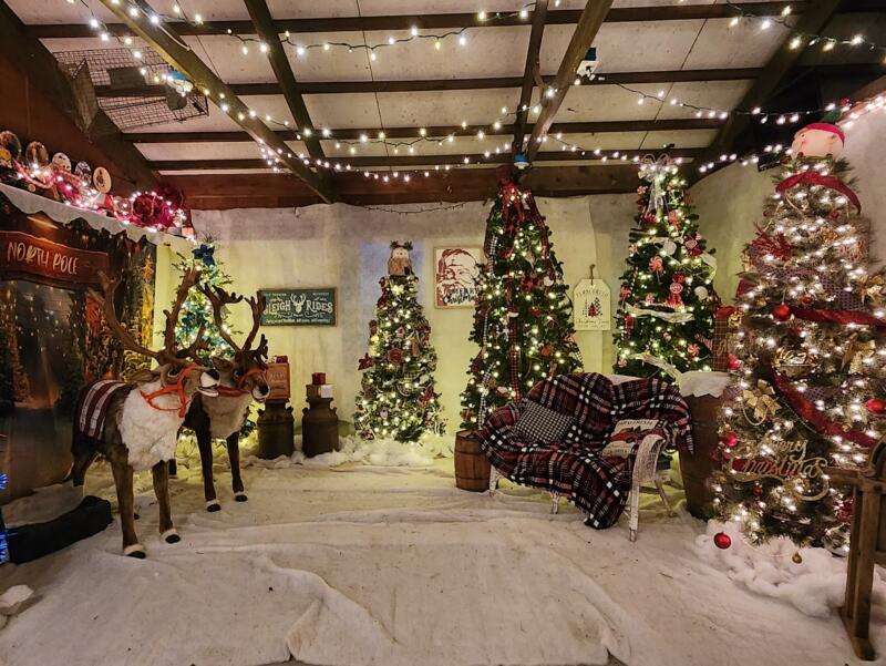 Christmas displays with reindeer and trees at Glacier Rock Farms in Wisconsin