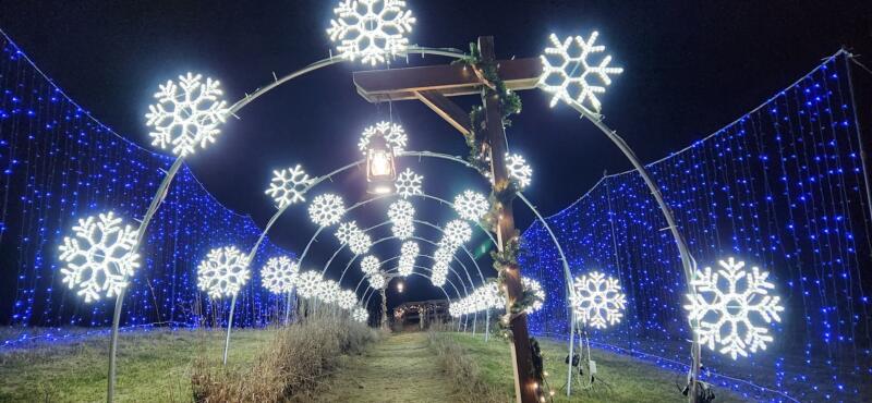 Arches of Christmas lights at Glacier Rock Farms